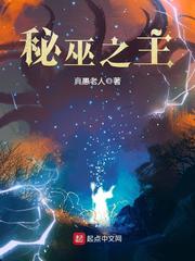秘巫之主什么时候开始写的